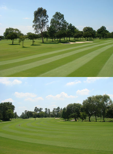 フラットでワイド初心者でも安心のコースレイアウト