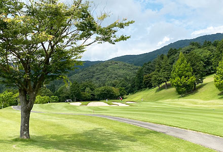 女性にやさしいコース