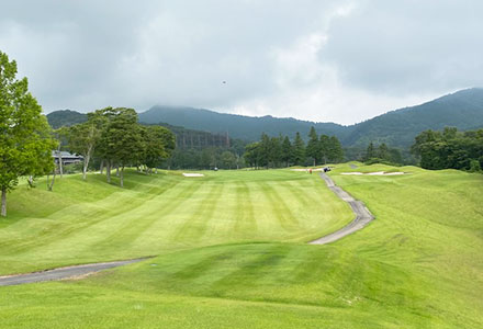 カートは自走式が良いか電動式が良いか