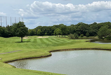 クリークを警戒