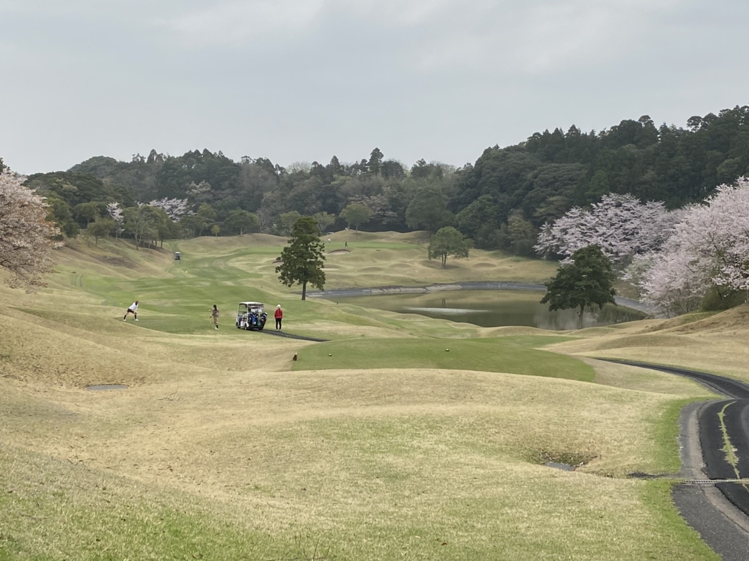 アンジュレーションとの戦い