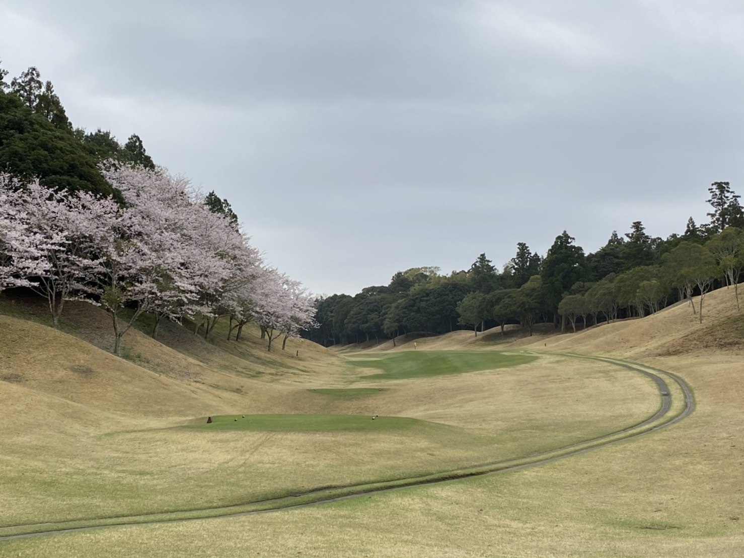 アンジュレーションとの戦い2