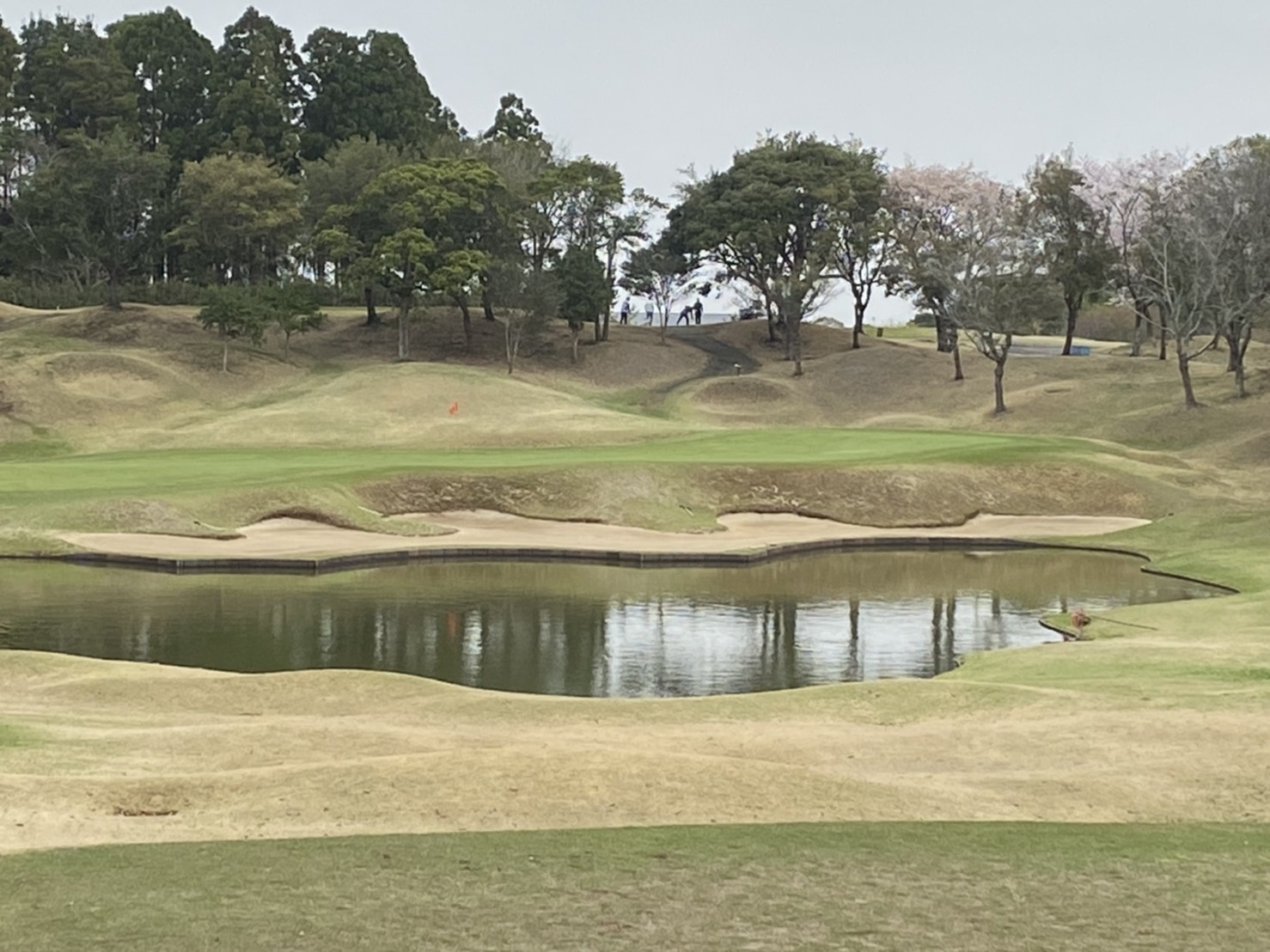 やりがいのあるパー３