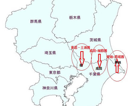 選びたい放題のエリア