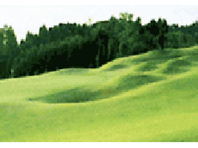 東京国際空港ゴルフ倶楽部