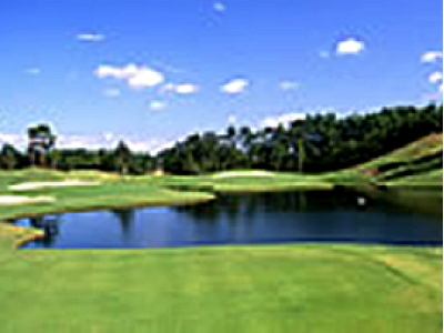 ゴルフクラブツインフィールズ