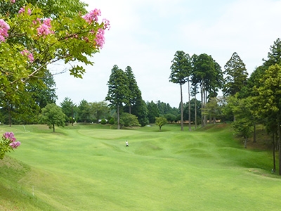 ダイナミックゴルフ成田（ショートコース）