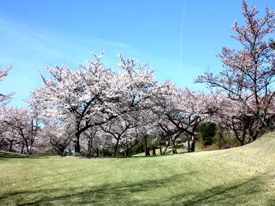 宮島志和カンツリー倶楽部