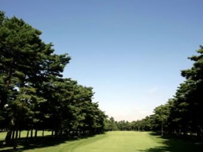 紫カントリークラブ　紫あやめ３６