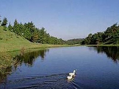 堺カントリークラブ