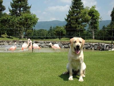 島ヶ原カントリークラブ